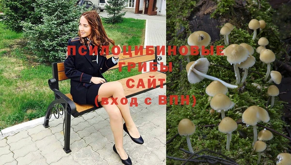 спиды Алексеевка
